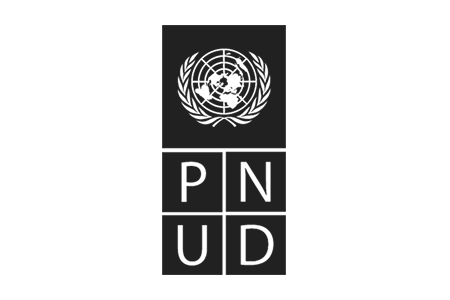 Programa de las Naciones Unidas para el Desarrollo